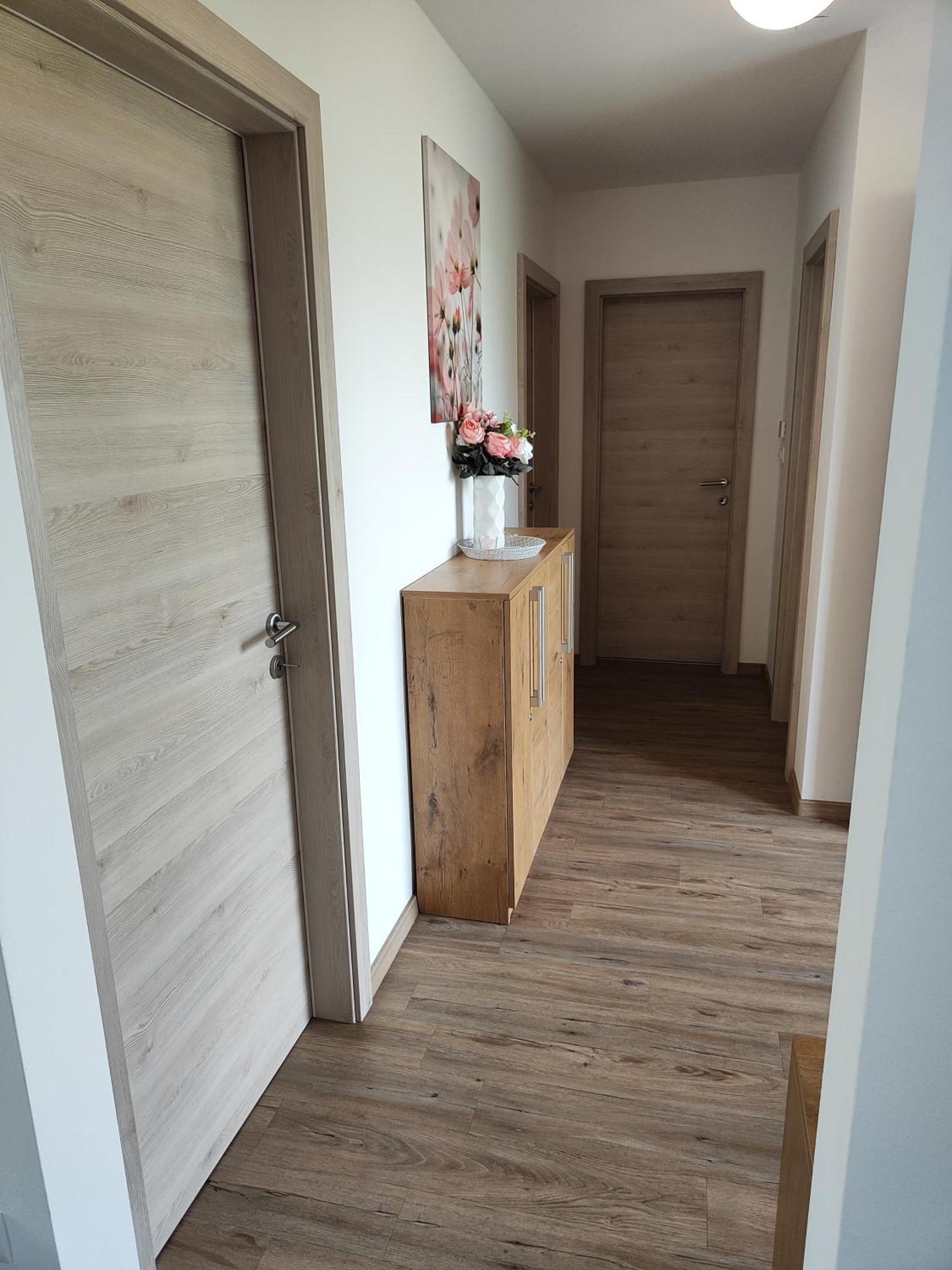 Family Apartment Moravske Toplice Exterior photo