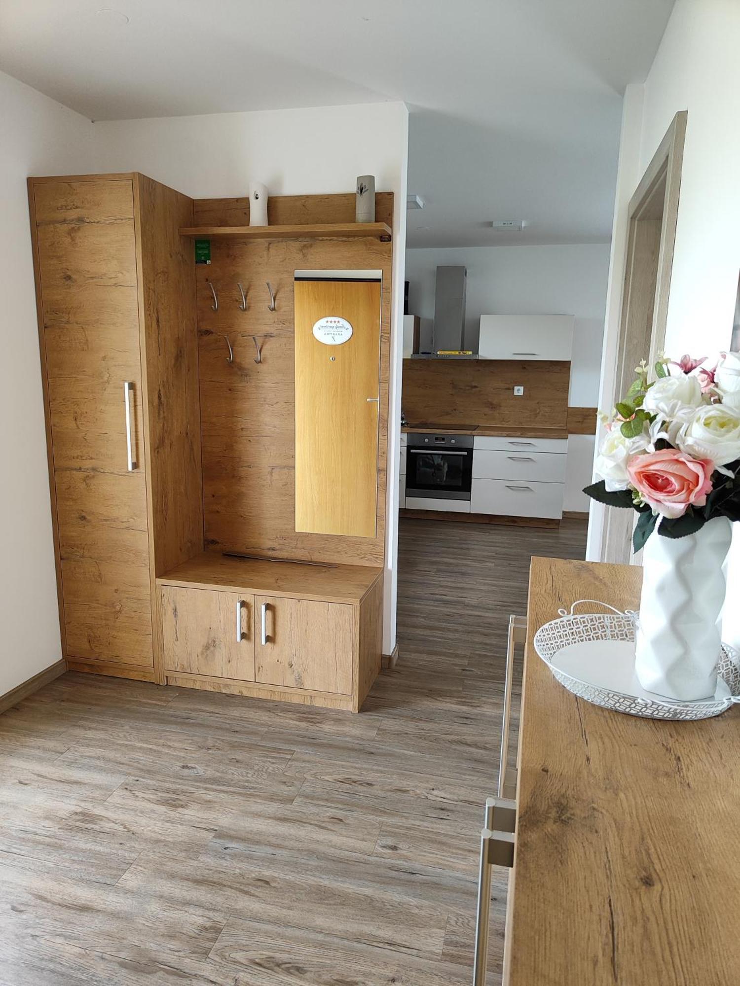 Family Apartment Moravske Toplice Exterior photo