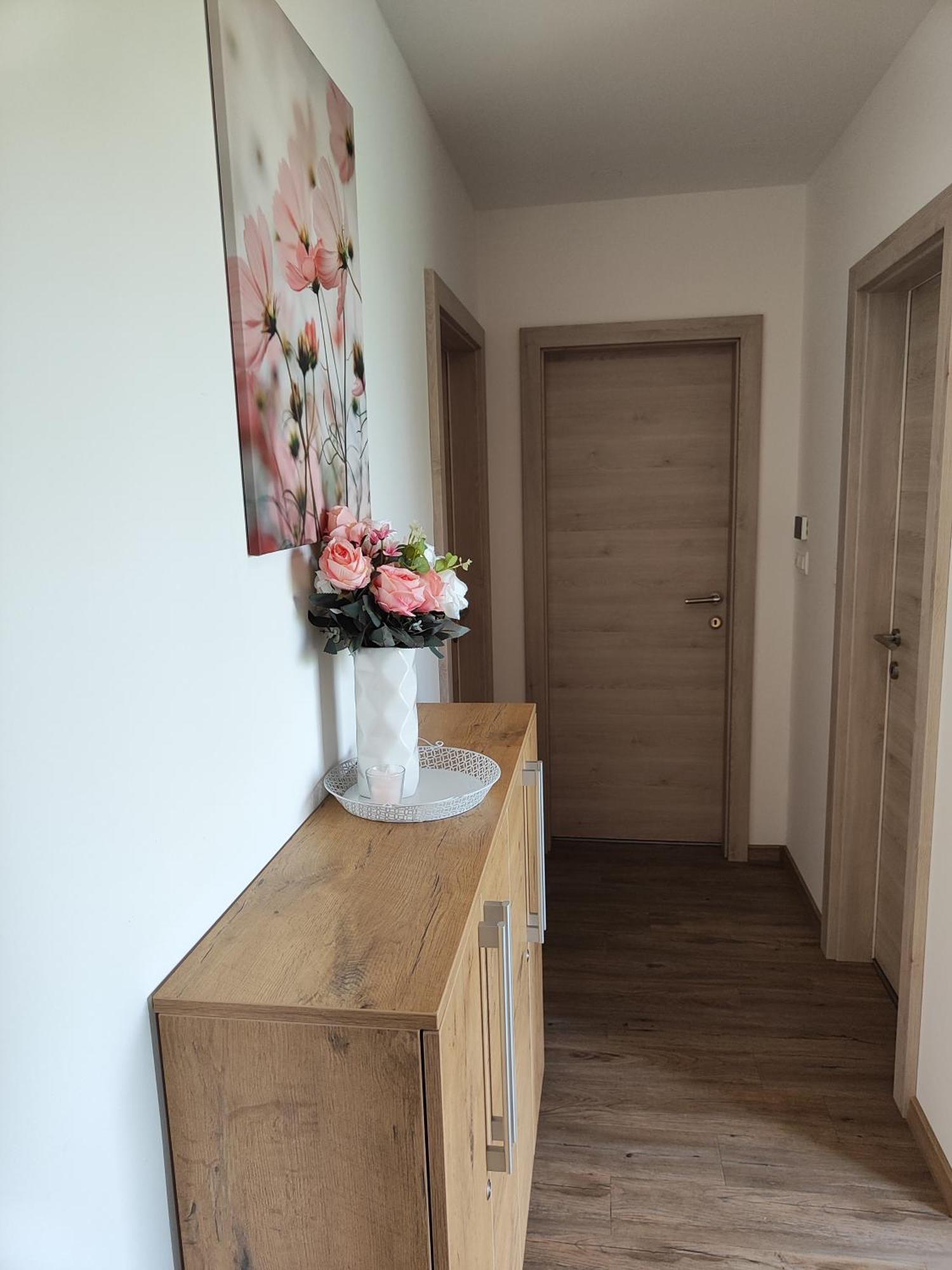 Family Apartment Moravske Toplice Exterior photo
