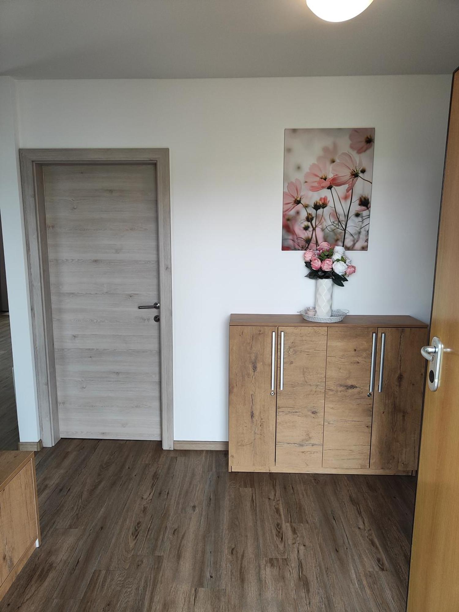 Family Apartment Moravske Toplice Exterior photo